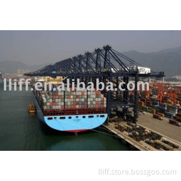 freight forwarding shipping from shanghai shenzhen ningbo qingdao tianjin xiamen dalian